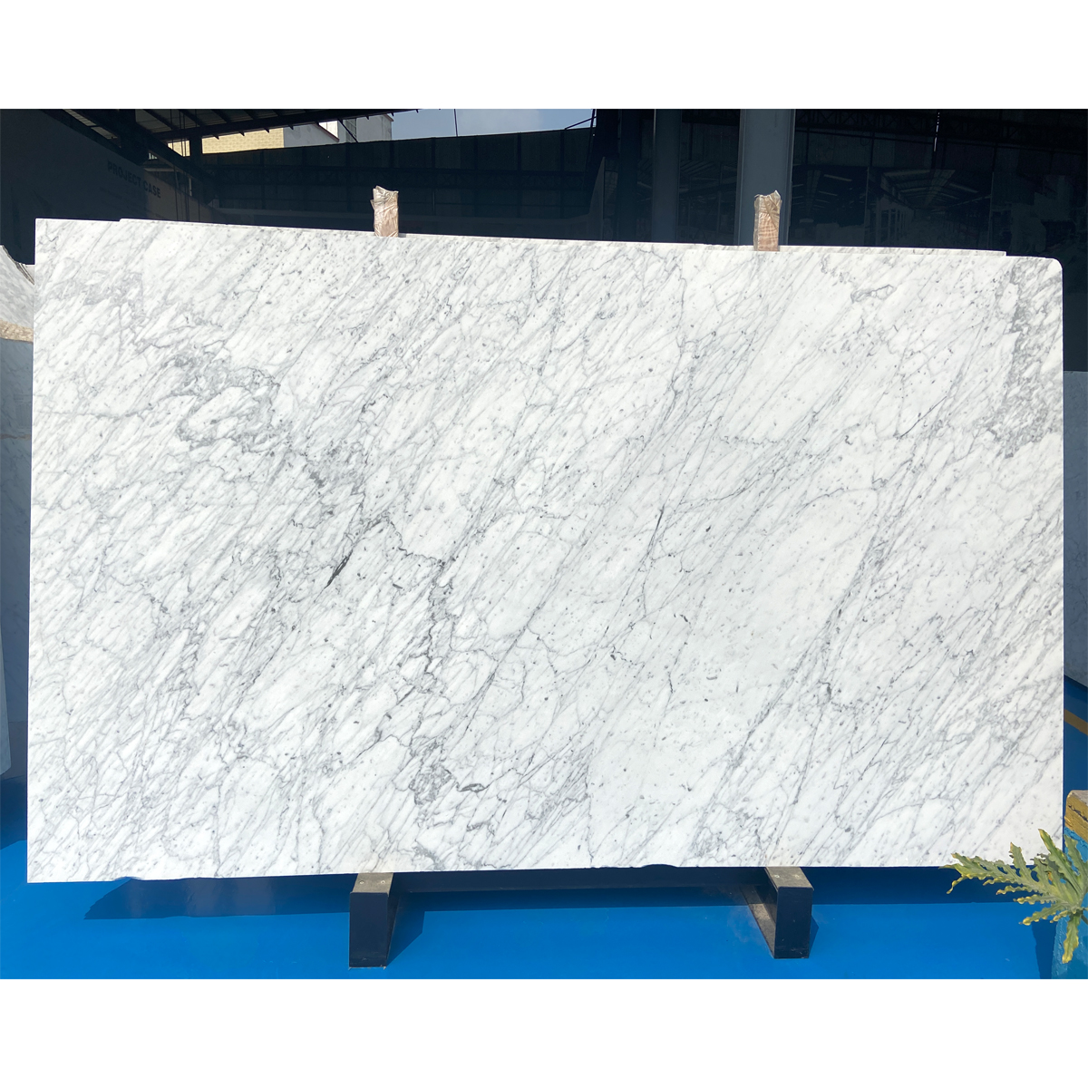 Arabescato White Marble