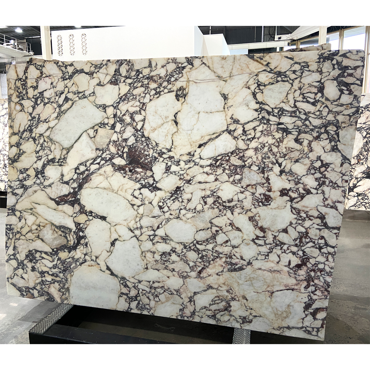 Calactta Viola Marble