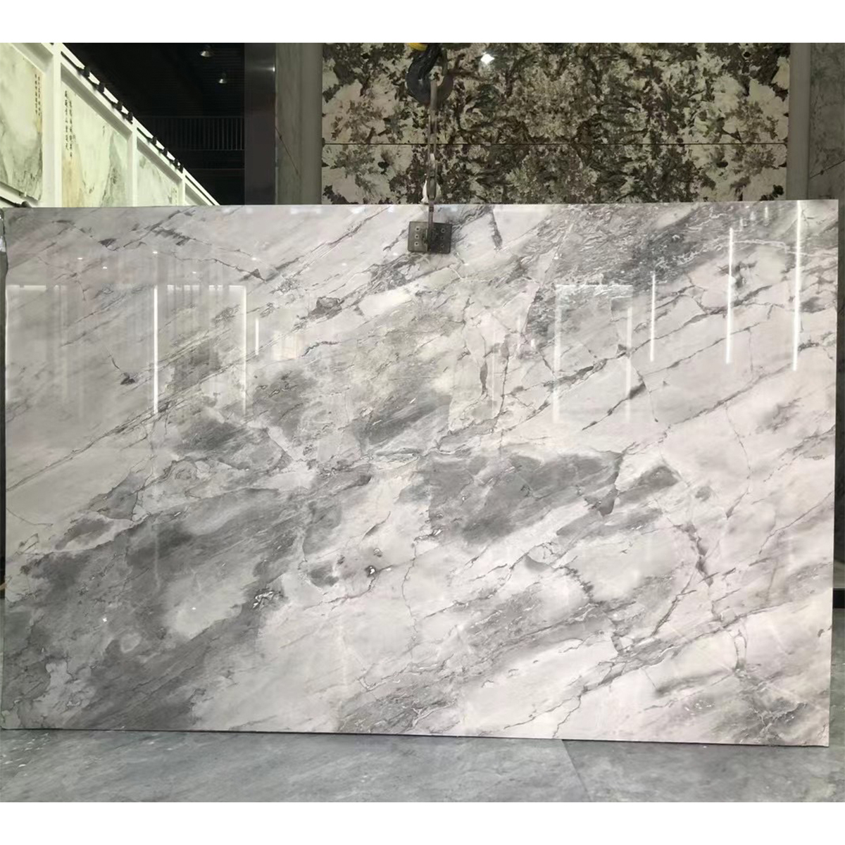 Brazil Calactta Grey Marble