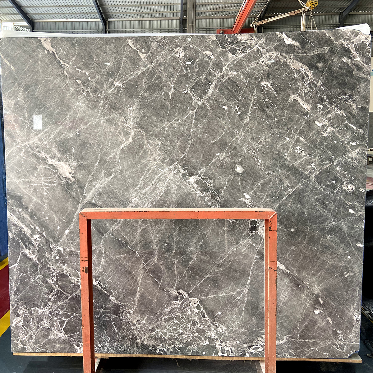 Italy Calactta Grey Marble
