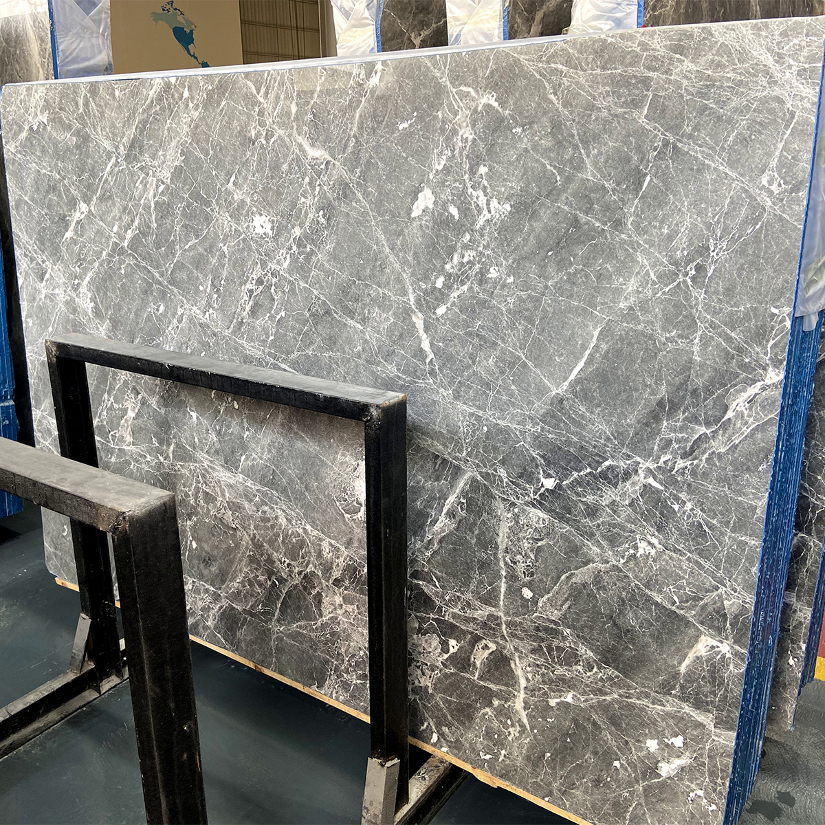 Italy Calactta Grey Marble