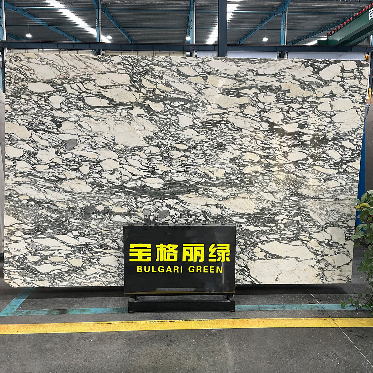 Bvlgari Calacatta Green marble slab photos for hotel lobbies, kitchen countertops, villa wall panels, luxury furniture, finish samples, cut-to-size drawings and crate packing.