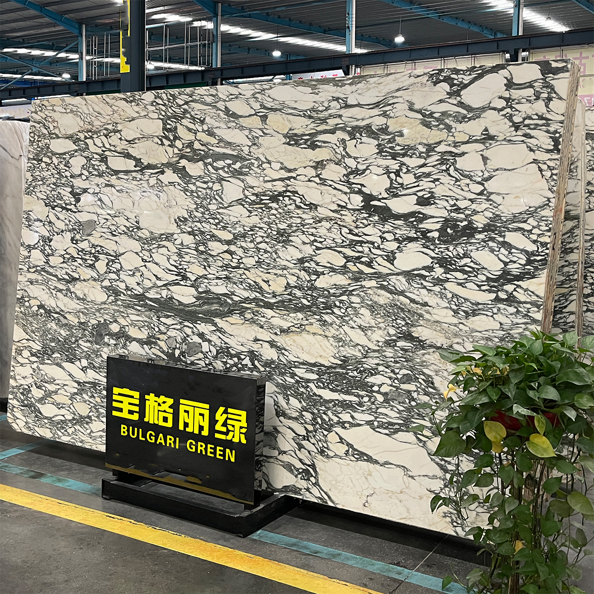 Bvlgari Calacatta Green marble slab photos for hotel lobbies, kitchen countertops, villa wall panels, luxury furniture, finish samples, cut-to-size drawings and crate packing.