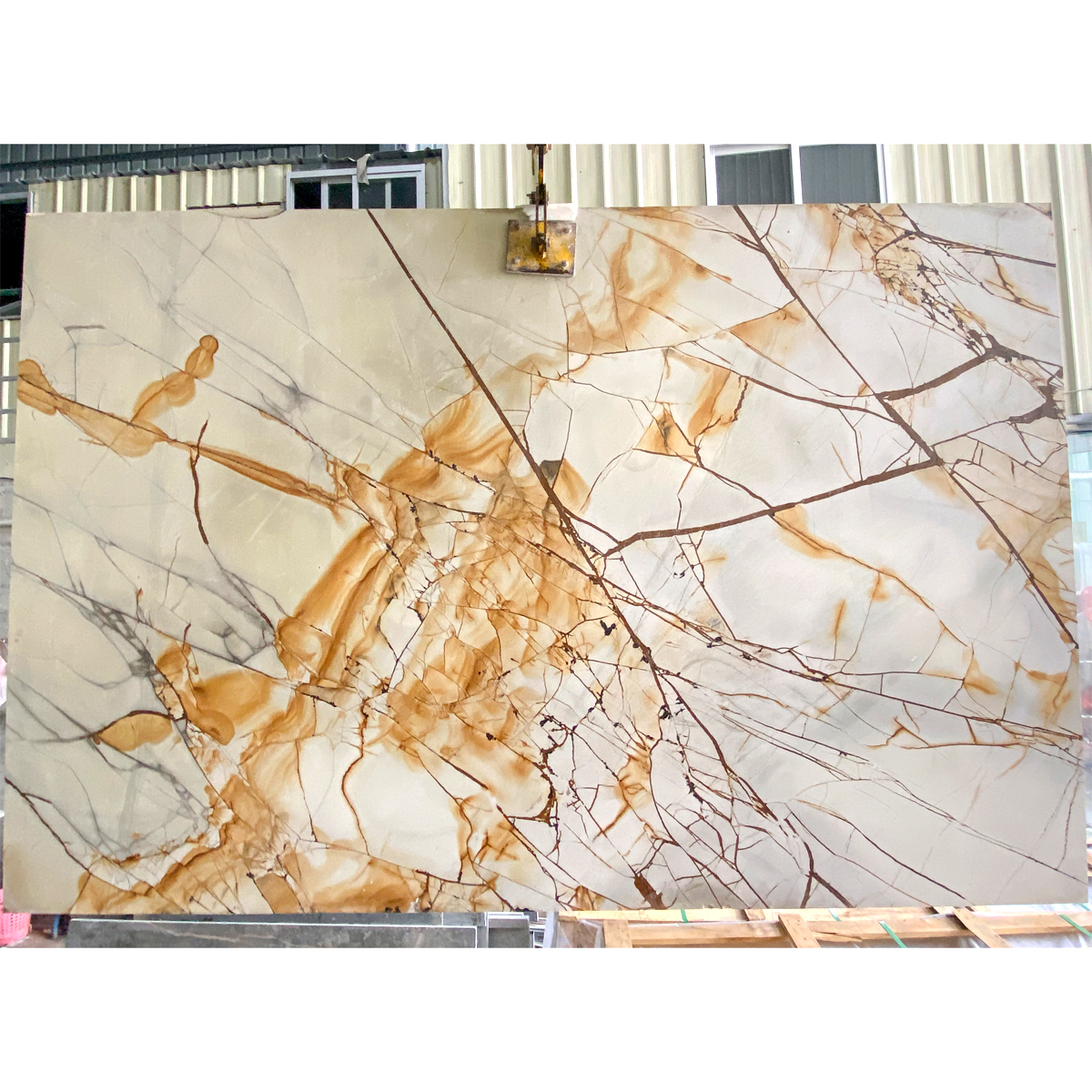 Golden Maple Leaf Gold Marble