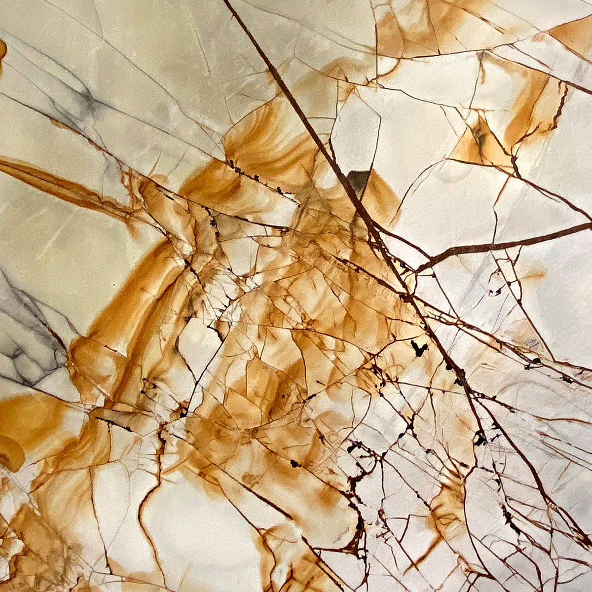 Golden Maple Leaf Gold Marble