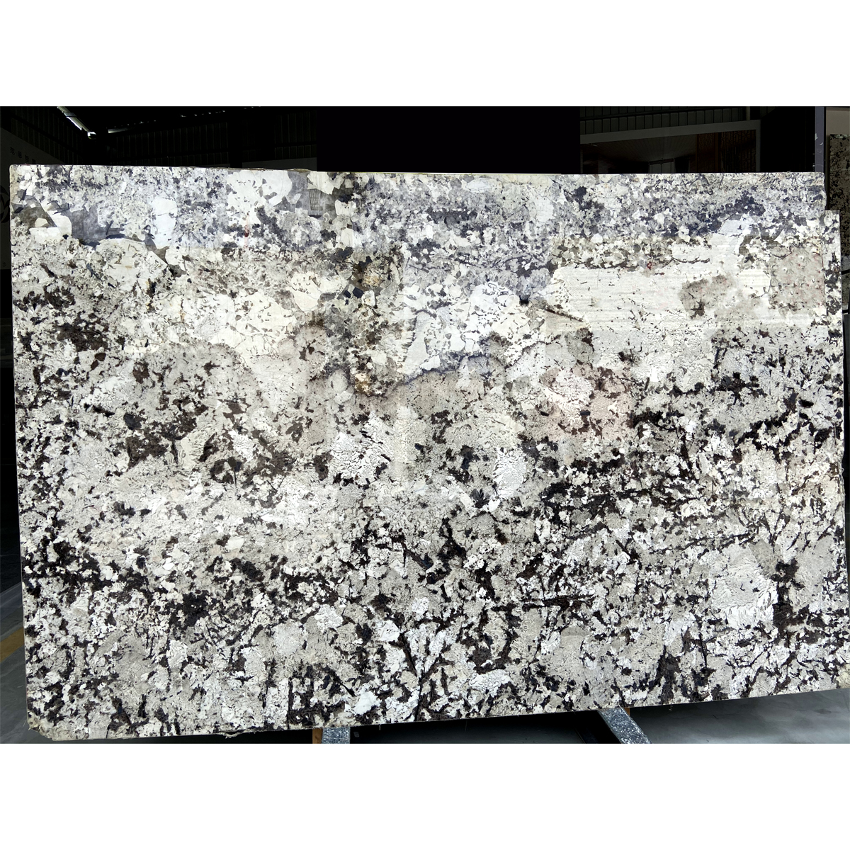 Snow Silver Marble