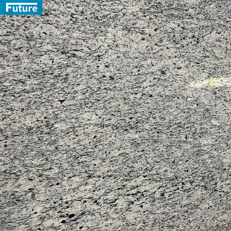 Santa Cecilia White Granite